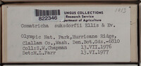 Image Associated With the Occurence